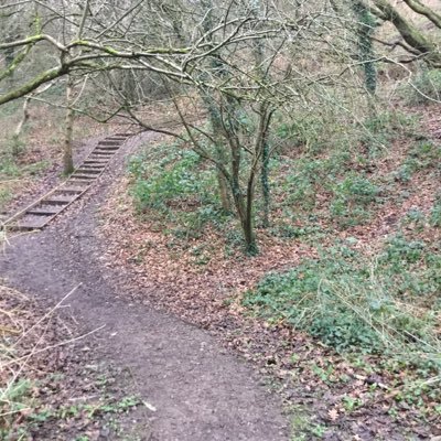 ReesonGeoff's profile picture. 