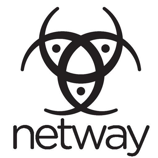 netway_gaming Profile Picture