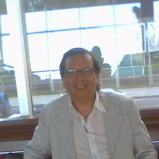 Licenciado en Historia, especialidad en Bibliología, Archivología y Documentación.