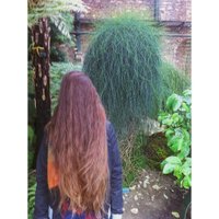 MarineDePluie (@marinedepluie) 's Twitter Profile Photo MarineDePluie (@marinedepluie) 's Twitter Profile Photo