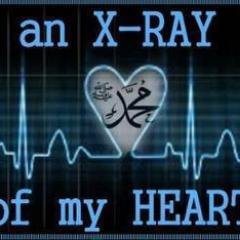 MahmudMondal's profile picture. 