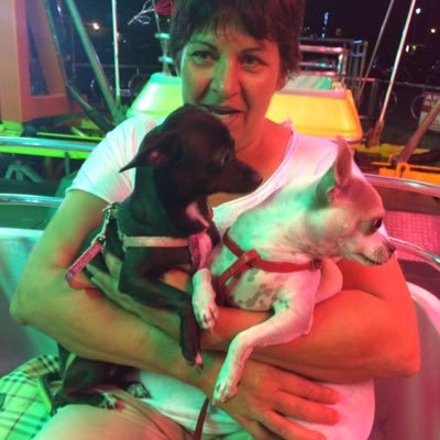 ElisabetaPrede1's profile picture. 