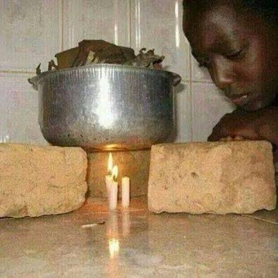 sharkark's profile picture. 