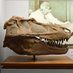 UofA EAS Collections (@eascollections) Twitter profile photo UofA EAS Collections (@eascollections) Twitter profile photo