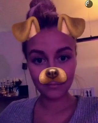 Datis_beee's profile picture. 