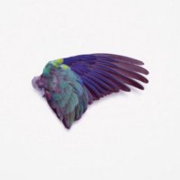 flyingbird - @FallJanette Twitter Profile Photo