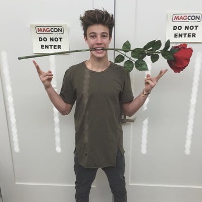 pandacam1994's profile picture. 