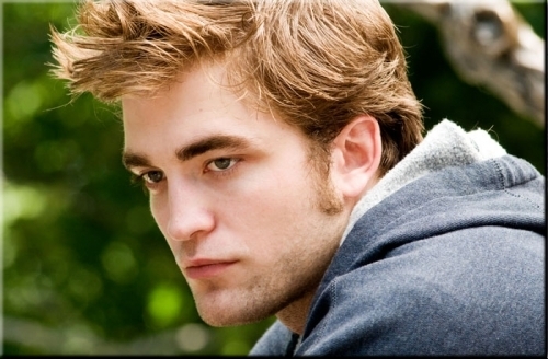 I'm Edward. The sick masochistic lion. ~~Single~~