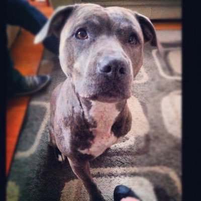 OcnGal51674's profile picture. I adore being aunt and a great aunt too.