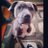 OcnGal51674's profile image