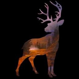 TwinsHaluk's profile picture. 