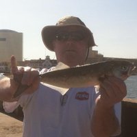 Pat Crowe (@patusnao1_ret) 's Twitter Profile