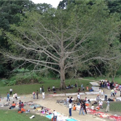 maxrodriguez012's profile picture. 