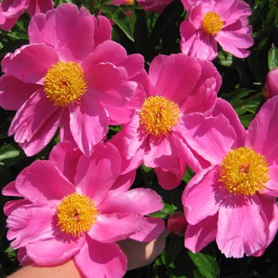 My strength comes from faith. My serenity comes from the beauty of nature. Always stop and smell the roses.