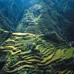 beautifulview6's profile picture. 