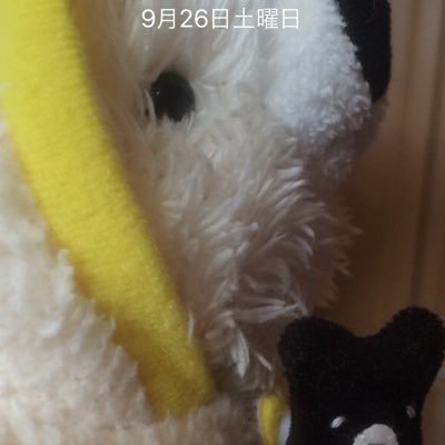 dai19730930's profile picture. ガキンチョ楽しみ