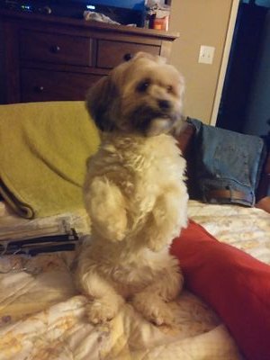 tarathompson69's profile picture. 