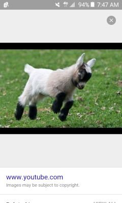 DoctorWalrusMC's profile picture. 