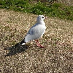 BmBmdNAi4DYOo4l's profile picture. 