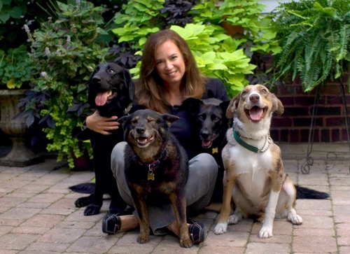 Marketer, writer, passionate about my life with dogs