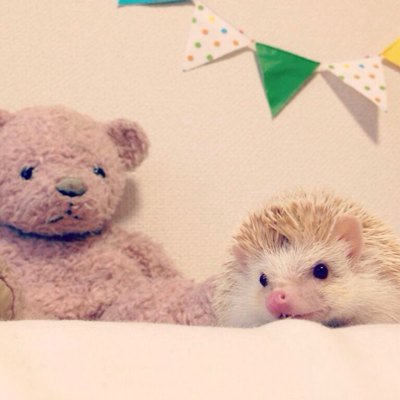 RW43pcaa's profile picture. 和、本、雑貨など好きです⸜(´ ˘ `∗)⸝