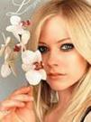 briannefoster7 Profile Picture