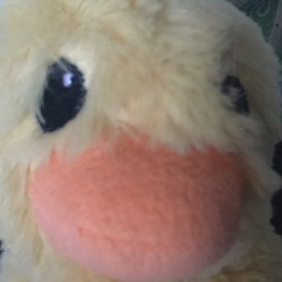 JamesKBHD's profile picture. 
