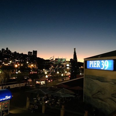 cactuaroid's profile picture. C#er, WPF, Contrabassist