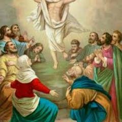 Tf2VjpyC2UeinUL's profile picture. 01225649841