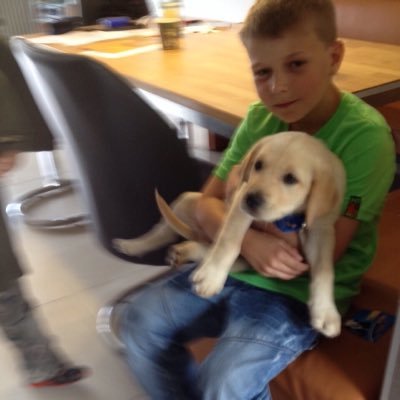 MeMarissteffen's profile picture. 