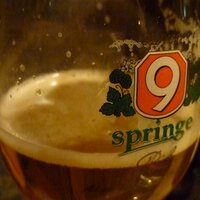 Frisches Bier (@bier) Twitter profile photo