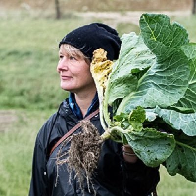 OPENgardenCPH's profile picture. I have moved - Follow @signevoltelen to continue getting our updates