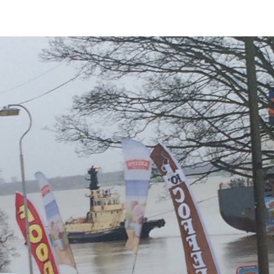 GutterCam's profile picture. 