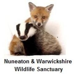 The official page for the Nuneaton and Warwickshire Wildlife Sanctuary. For rescues or bookings please ring 07909555310