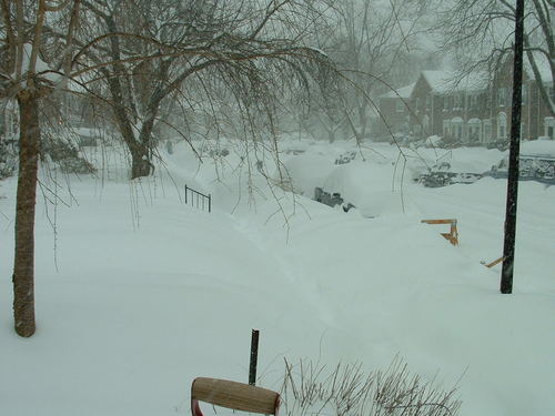 surewontmiss's profile picture. Working, parenting, aging, trying to get along.