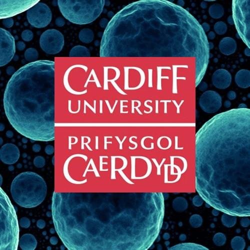 The Cardiff Catalysis Institute (CCI) is a centre of excellence for catalysis and surface science within the UK.