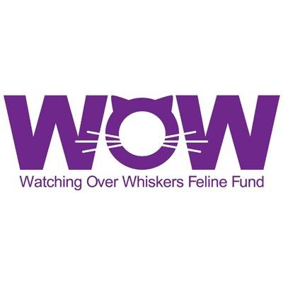 Watching Over Whiskers (WOW), Cat Rescue Fund established at @CFOzarks. Changing lives, felines and humans, one paw at a time. #WOWCats 417.324.4486