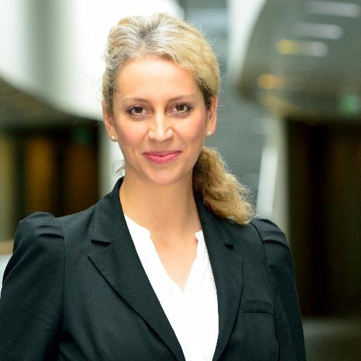 Manager & researcher | Speaker, Trainer, Consultant | Board member @dnwe #FFM | #nachhaltige100 | former vzbv/EUKOM | myviews