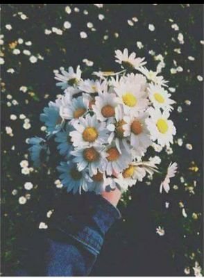 patenciiiii's profile picture. GALATASARAY