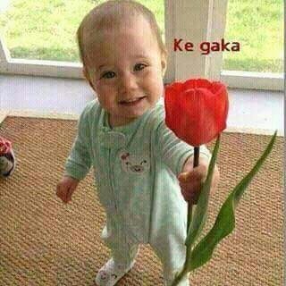 NakitareDan's profile picture. 