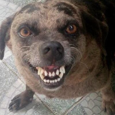 GabrielPjZm's profile picture. 