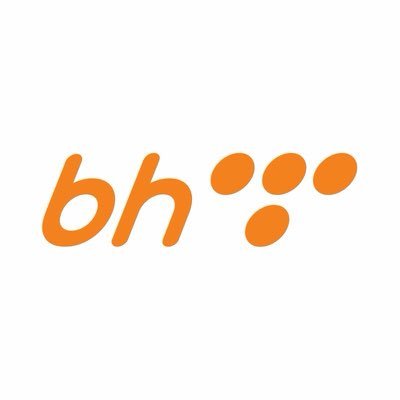 BH Telecom Profile