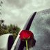 كبل بالمدينه (@lelealdosari) Twitter profile photo كبل بالمدينه (@lelealdosari) Twitter profile photo