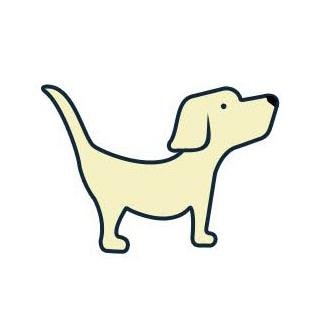 mydogsnamesite's profile picture. If you adore dogs, this is the place for you! We've helped 7 million new pup parents find the perfect dog name. Follow for helpful advice, fun stuff & more!