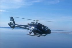 flightjock1's profile picture. 