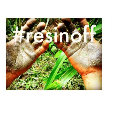 resinoff's profile picture. For easy removal of resin and sticky substances from your hands and your everyday apparatus. Instagram Resinoff