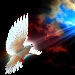 wandayvonnepar1's profile picture. 