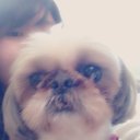 さお (@0128_happiness) Twitter