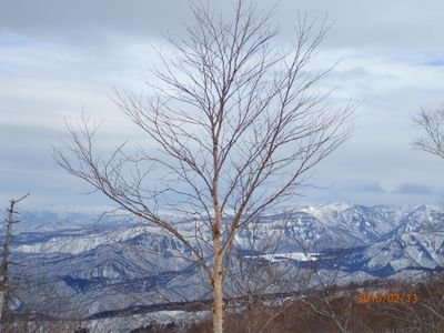 お山を始めて…年目です。
バードウォッチング初心者🔰