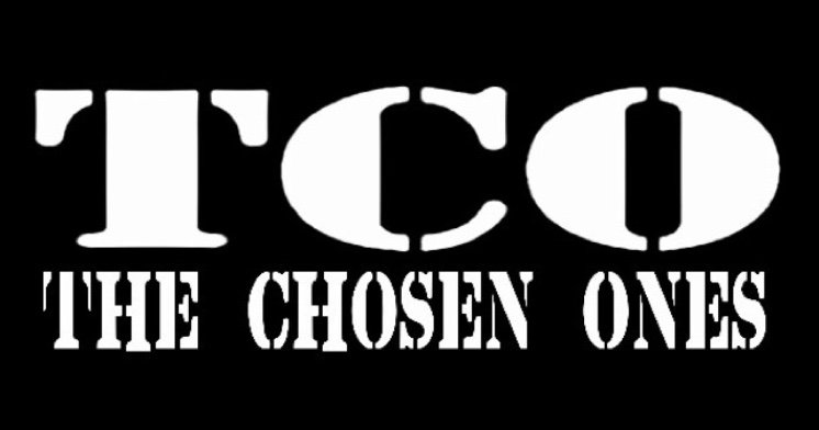 The Official Twitter Page for TCO Crew • #TheChosenOnes #TheCartelOnly #TCOworld Music/Fashion/Marketing/Branding Email:TCOworld5@gmail.com
